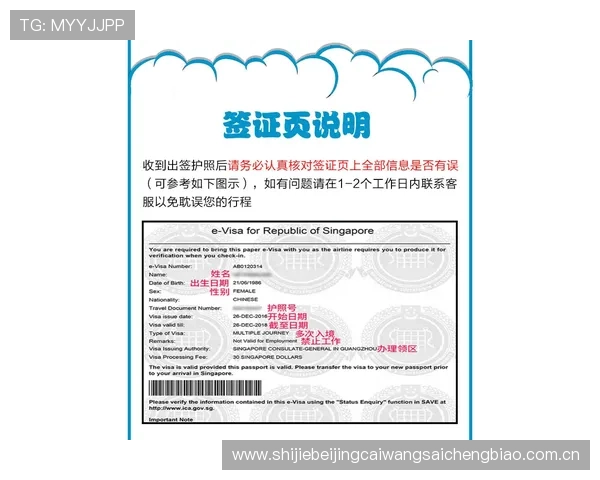伊拉克足球代表团世界杯签证审批流程及加急办理方案